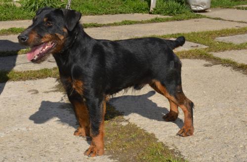 Ralf z Pustého jitra