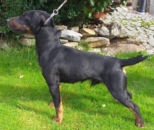 Chyr z Pištínského remízu